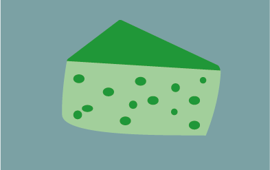 Bio Bodenseekäse